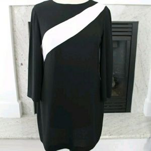Zara Mod dress
